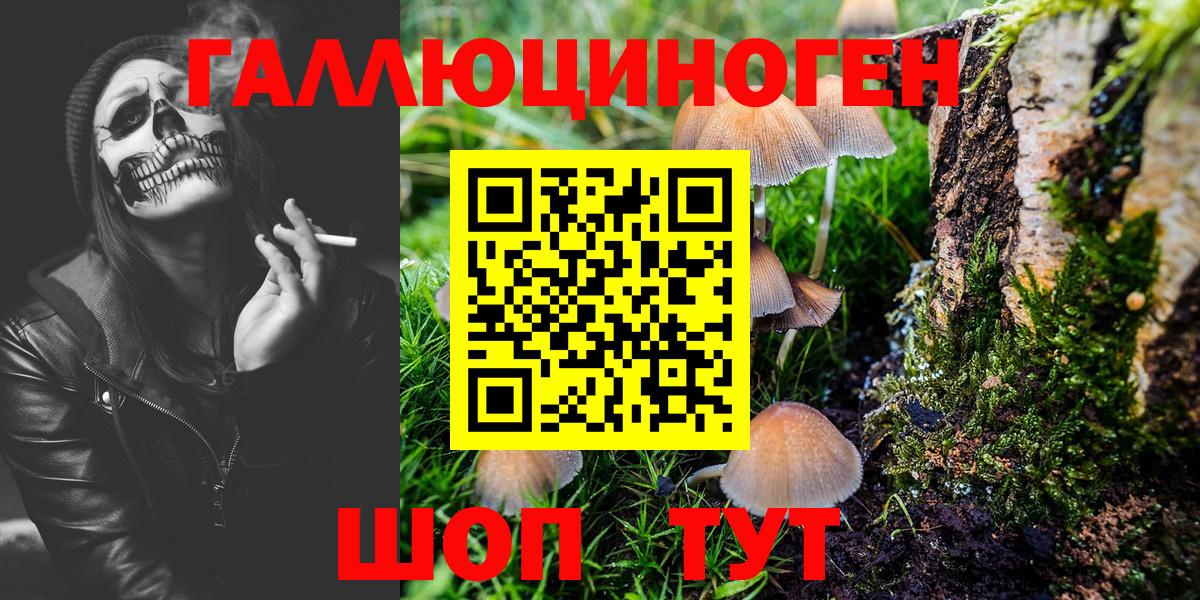 Ишимбай  Галлюциногенные грибы Magic Shrooms  Вход с VPN 