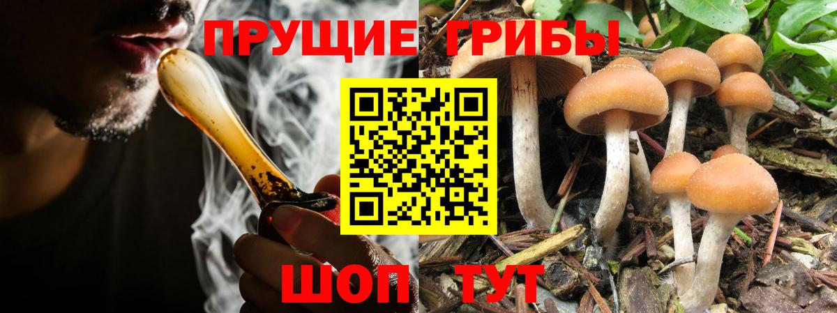 Псилоцибиновые грибы прущие грибы Ишимбай